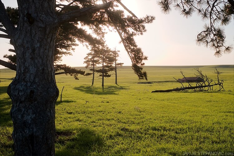 The barn is surrounded with trees quite rare to see here in Kansas.