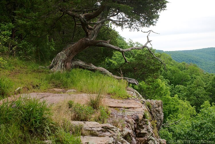 The cliff is straight, so there isn't any spot to view the waterfall other than stand on the top of it. But you can at least sit on the edge and observe the opposite side of the valley.