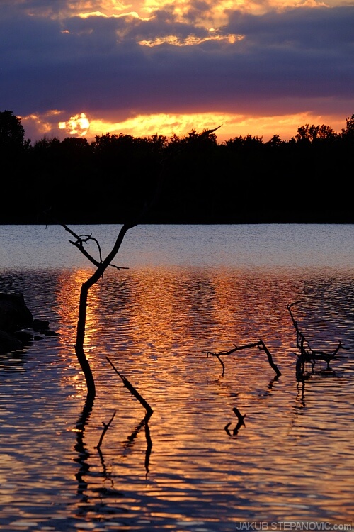 kansas at its best a (7)