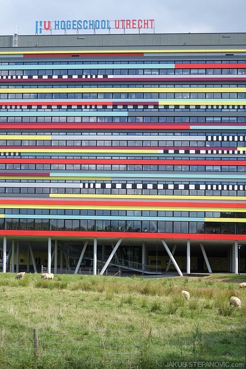 That’s the campus I planned to attend. From this side you can walk into a herd of sheep, from the other side is a large modern complex of universities’ buildings.