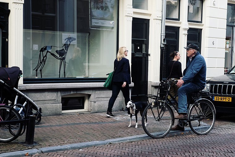 A guy interrupts his bike ride with his dog, to contemplate about a dog sculpture in the store front. Stories like this are on every corner.