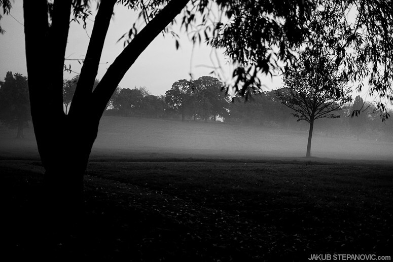 Gladstone Park