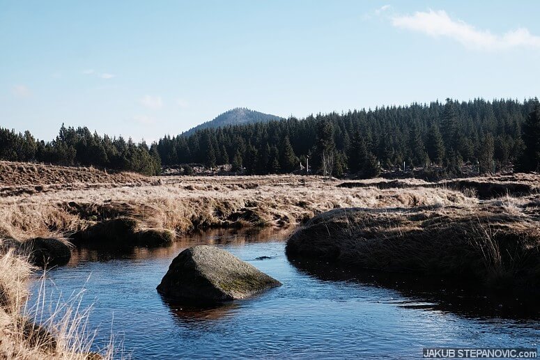 Bukovec Mountain above the Sapphire River 