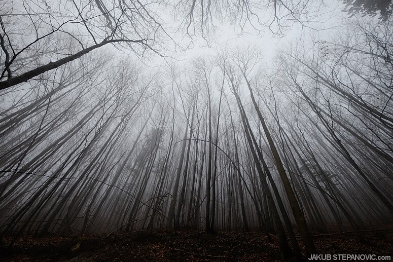 Two neat limestone gorges hidden in a fog.