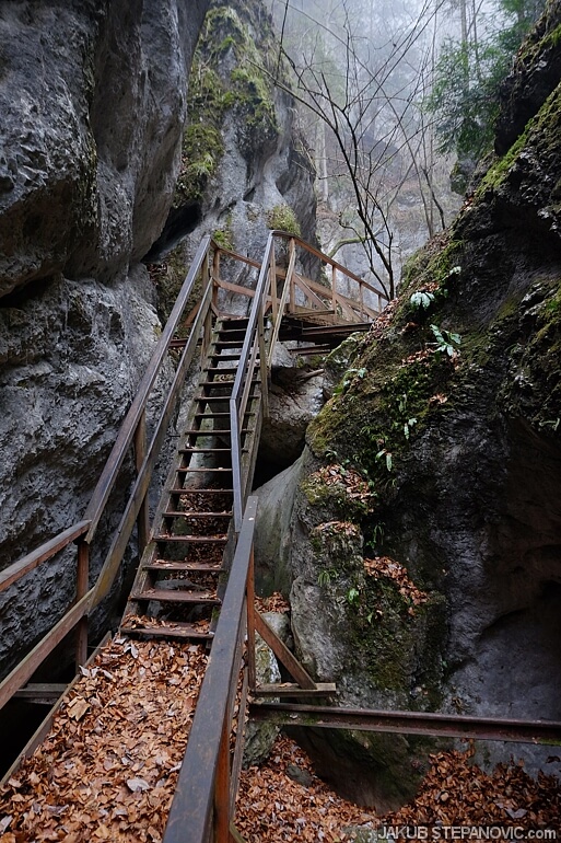 Steinwandklamm (6)