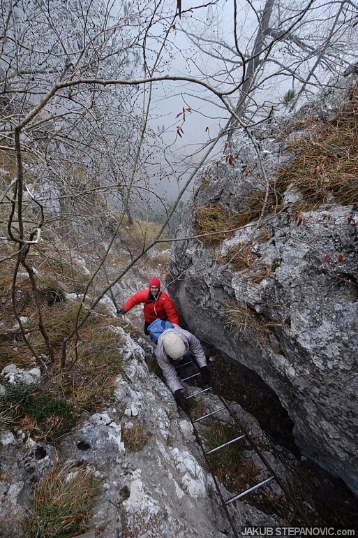 Steinwandklamm (8)