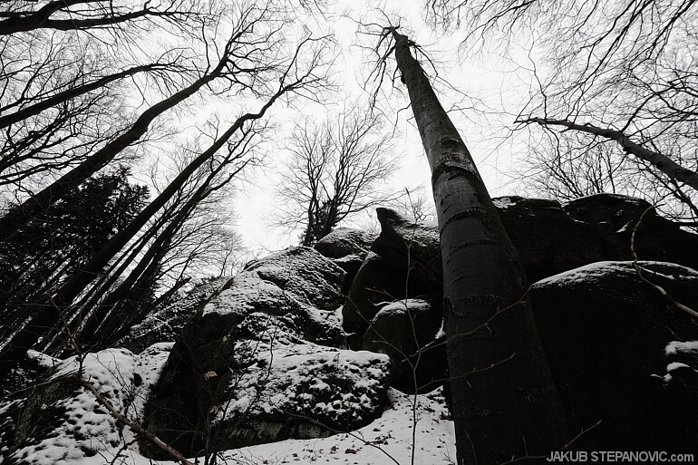 rocks (3)