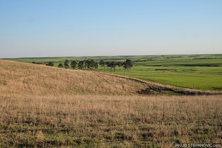 See, all the tall brown grass in the foreground is an old one from last year(s), while the pasture in the background was burned about a month ago, and is all green by now.