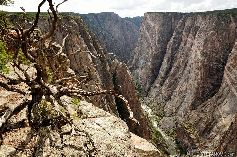 Canyon in CO