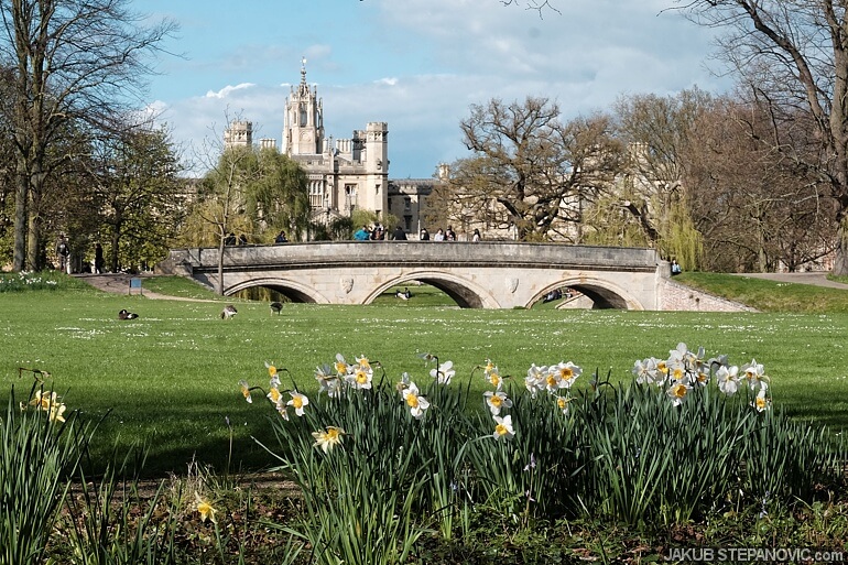 Cambridge Spring (35)
