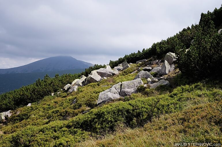 krkonose-4
