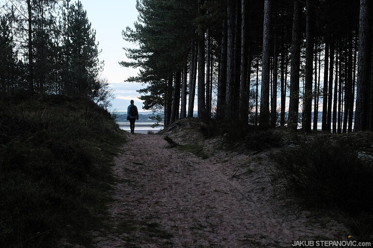 Tentsmuir