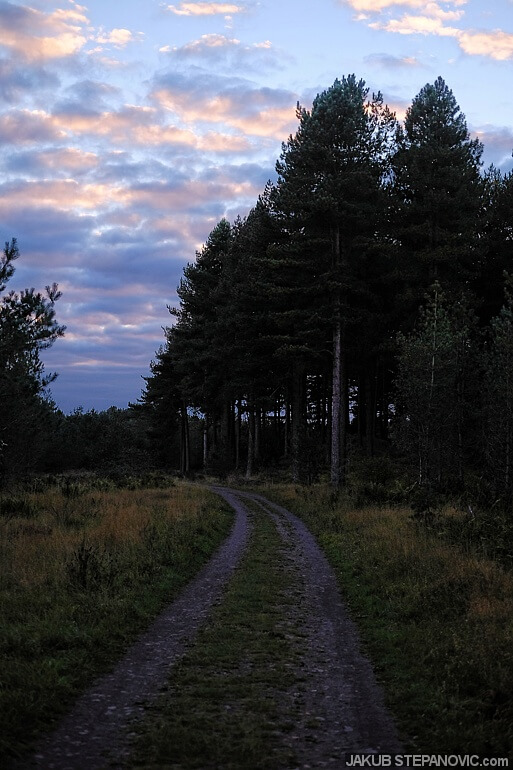 tentsmuir-11