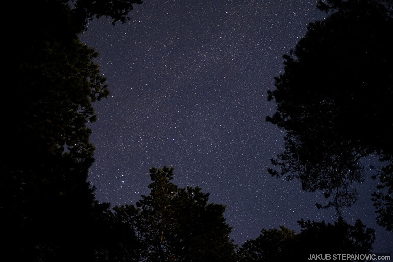 tentsmuir-6