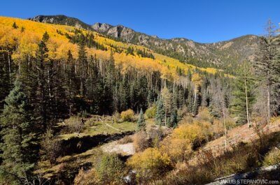 New Mexico
