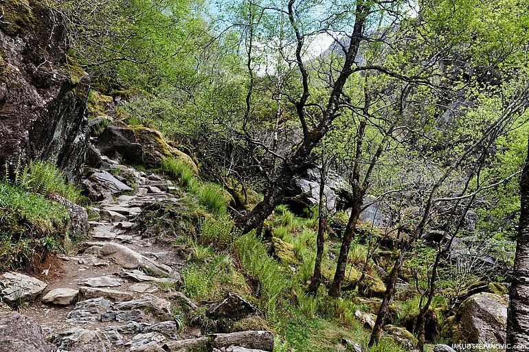 Trail to Steall Falls