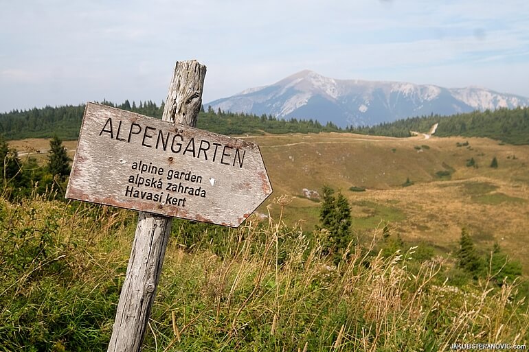 Rax Alpengarten