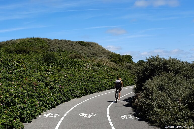 Bike Lanes