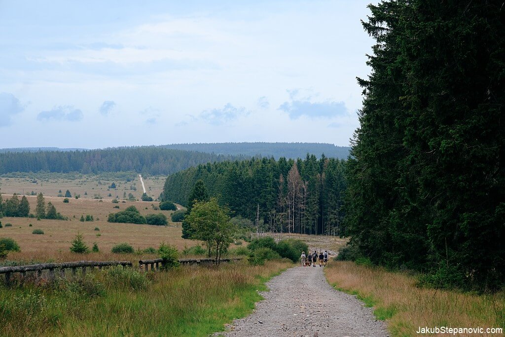 Hautes Fagnes