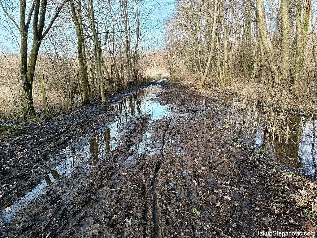 Mess of a road.